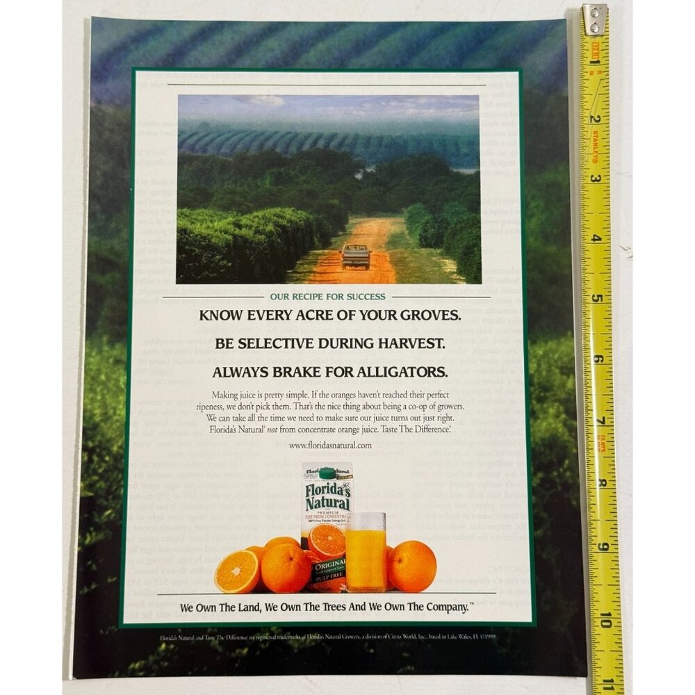 Vintage 2000 Florida Orange Juice Groves Trees Advertisement Print Ad - Picture 2 of 2